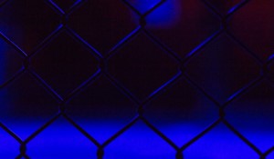 Bud Light Strikes Historic Sponsorship Deal with UFC